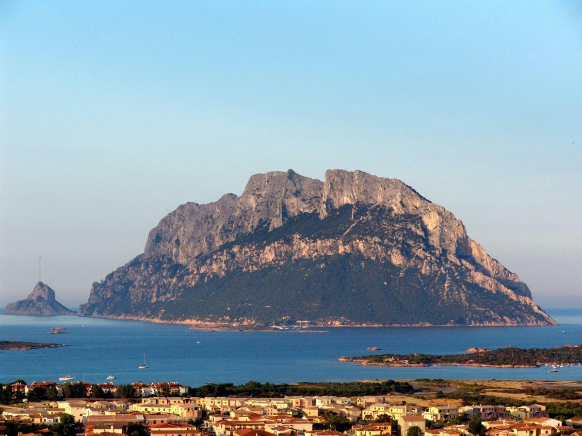 Residence L'Ea Di Lavru - Appartamenti Mono-Bilo-Trilocali Porto San Paolo  Dış mekan fotoğraf
